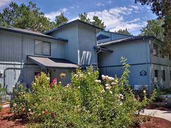655 Alameda Dr 1 Bed Apartment for Rent - Photo Gallery 6