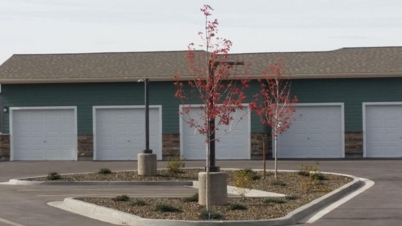 a building with white garage doors and a tree in a parking lot