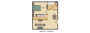1 Bed 1 Bath