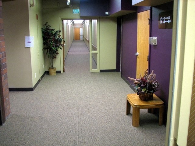 a hallway with purple and white doors and a table with a plant