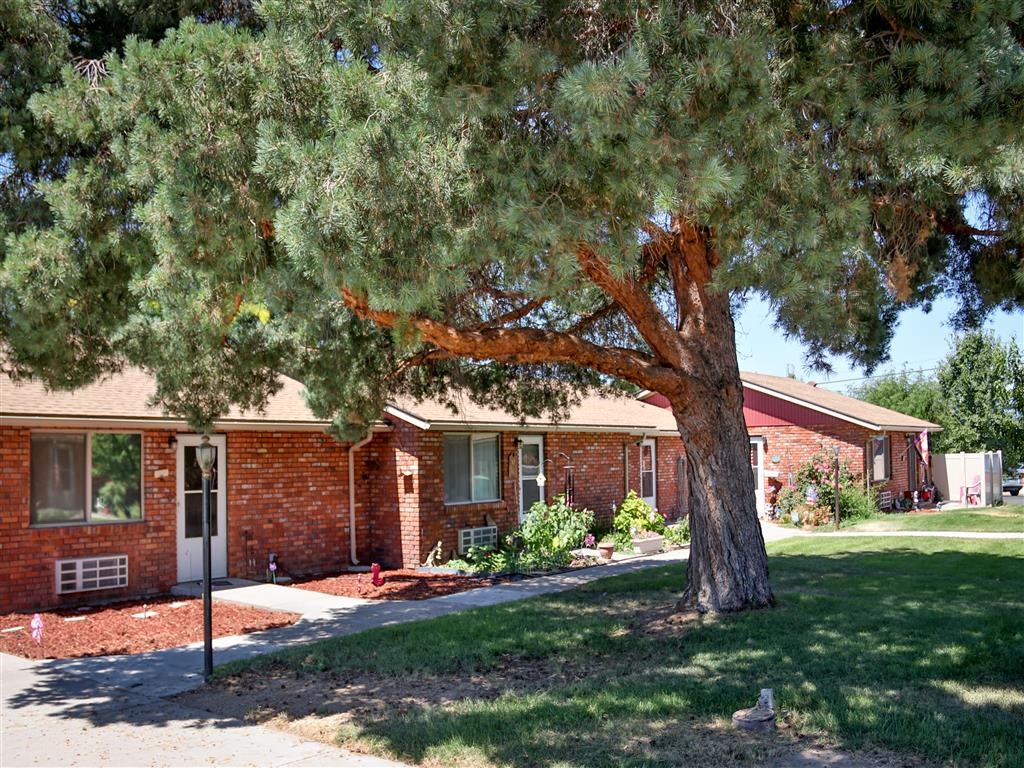 a red brick house with a tree in front of it