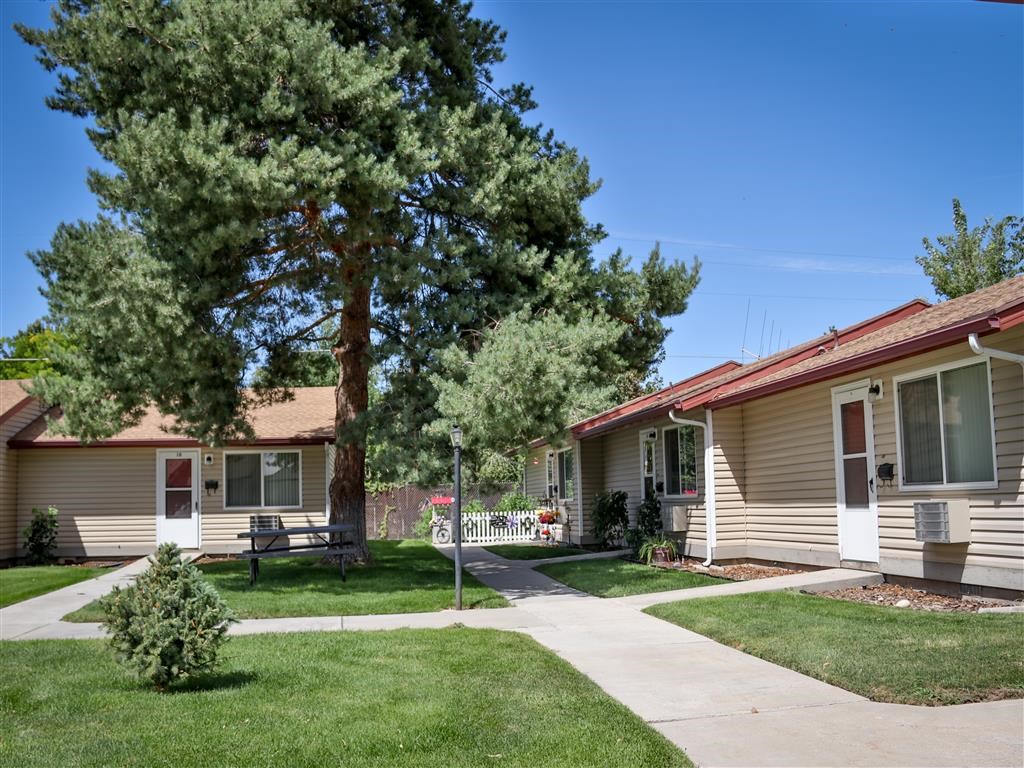 a home with a sidewalk and trees in front of it