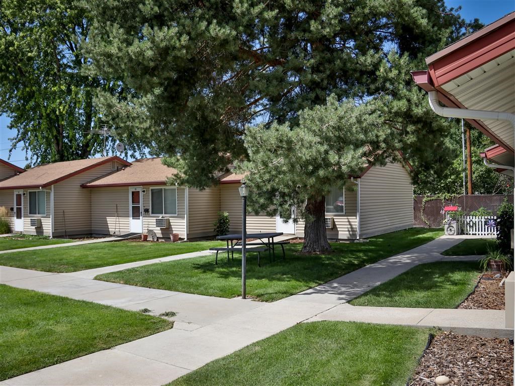 a group of houses with trees and a sidewalk