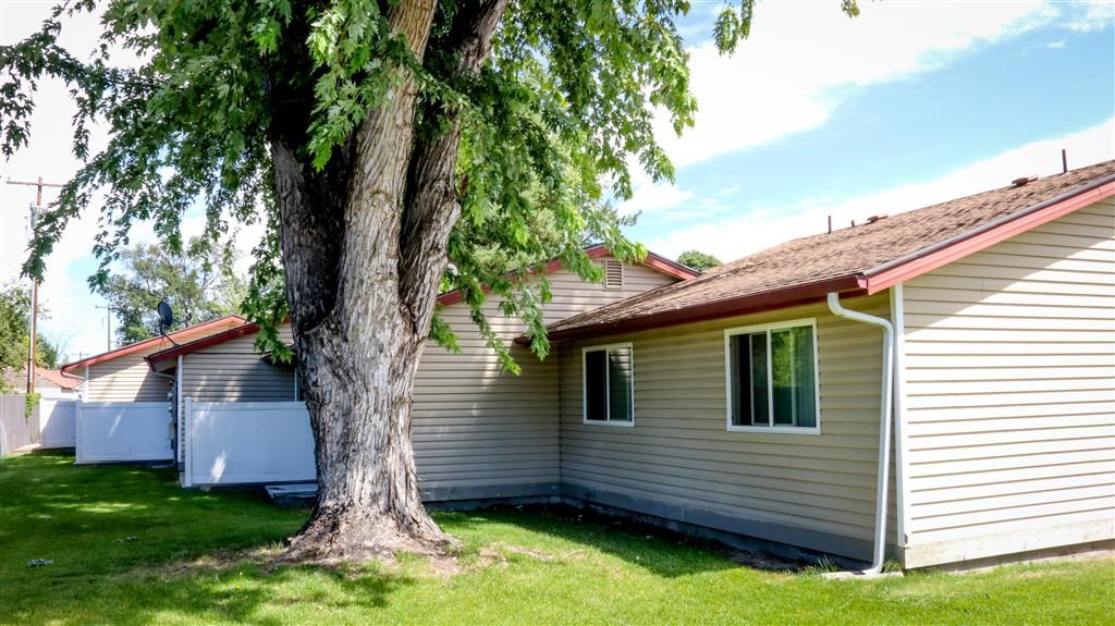 a white house with a large tree next to it