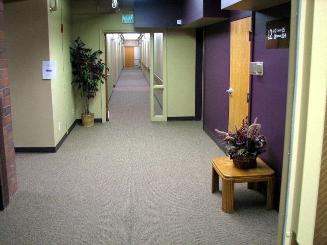a hallway with purple doors and a table with a plant
