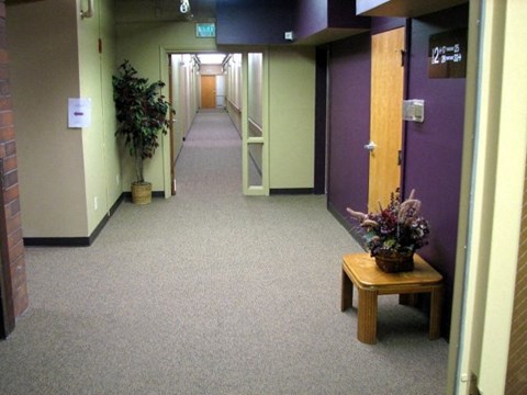 a hallway with purple doors and a table with a plant