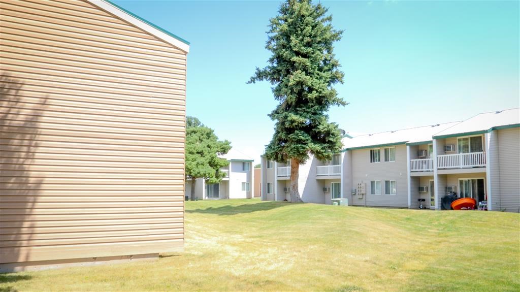 a group of apartment buildings and a tree in the grass