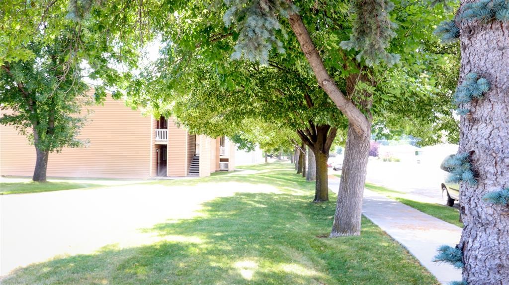 a row of trees in front of a building