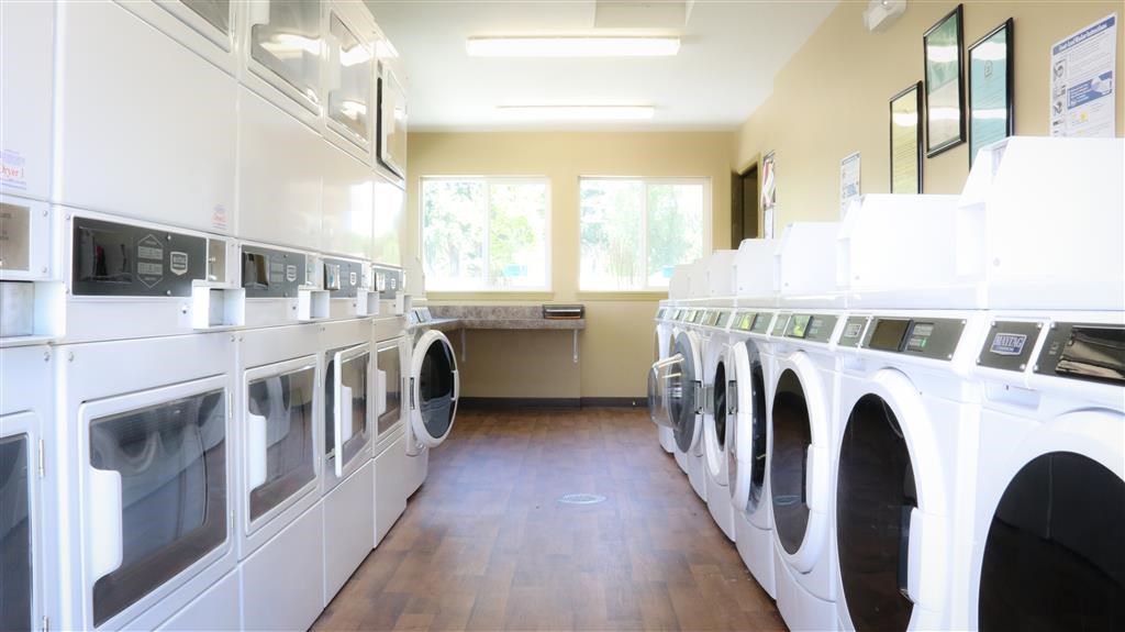 a laundromat with a row of washing machines in it