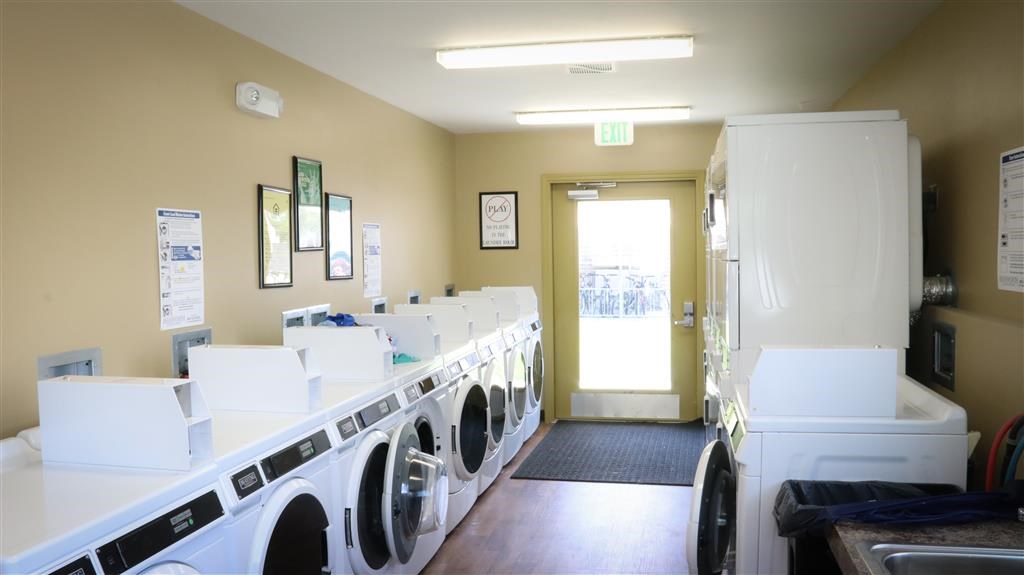 a washer and dryer room with a row of washing machines