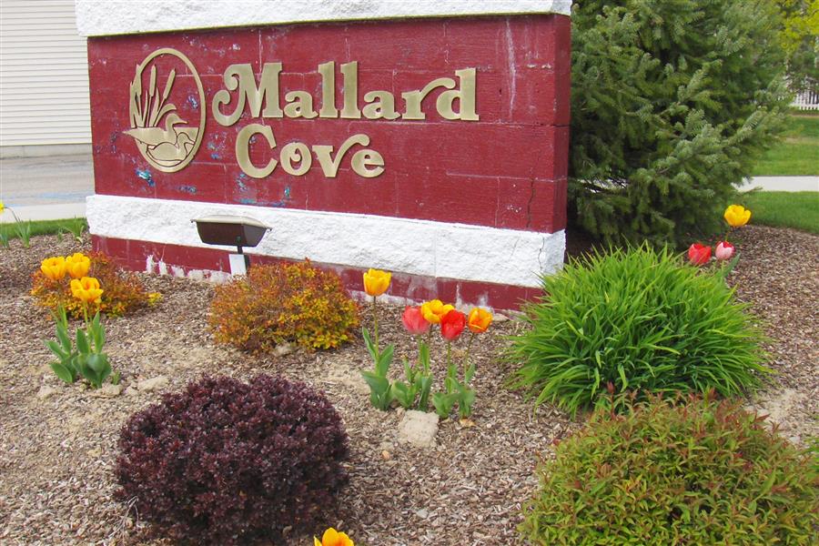 Mallard Cove