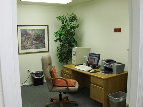 an office with a computer on a desk and a plant