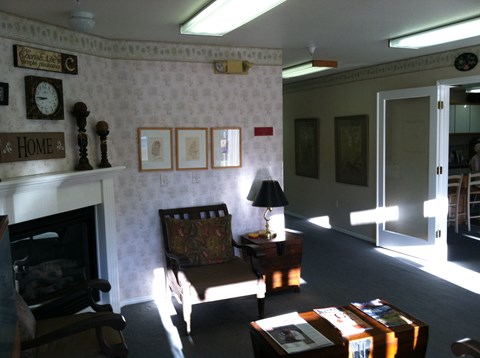 a living room with a fireplace and a chair