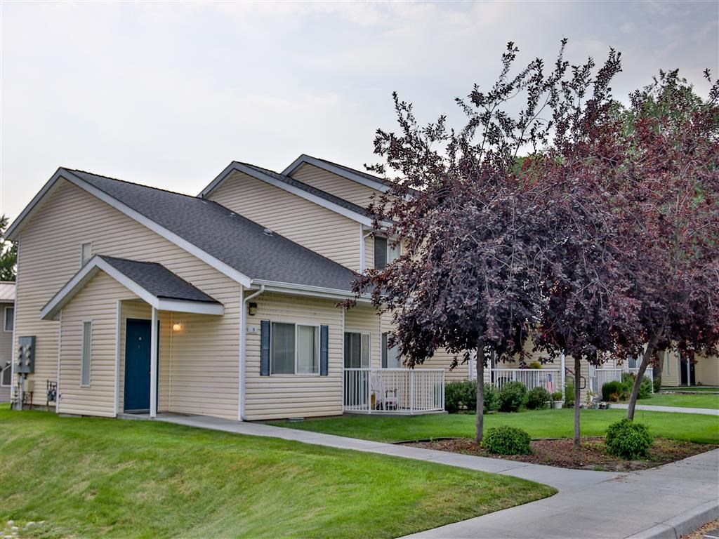 a house with a sidewalk and trees in front of it