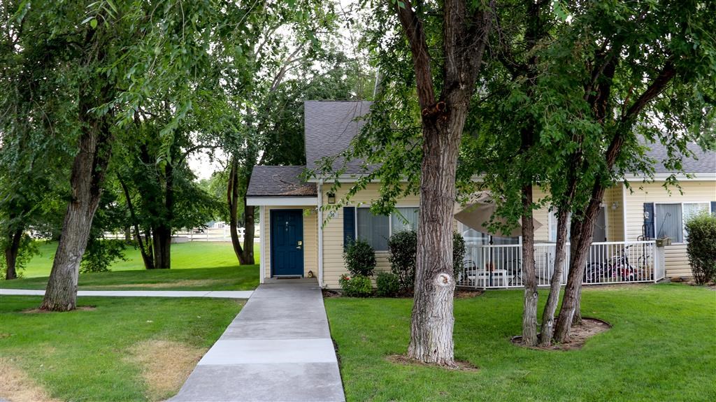 a house with trees and a sidewalk in front of it