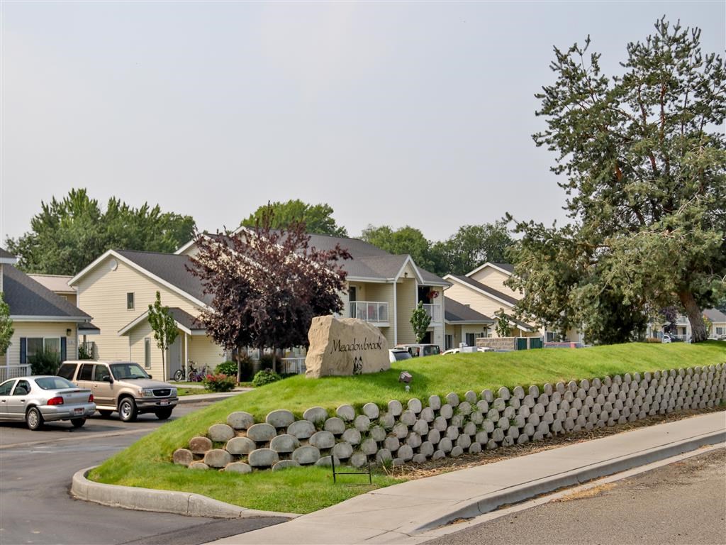 a neighborhood with houses and a rock in the middle of the street