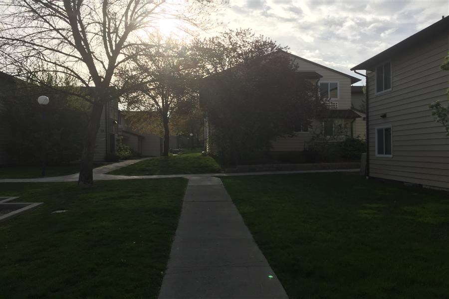 a sidewalk in the middle of a yard between two houses