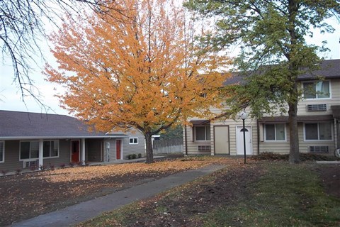 a tree with orange leaves in front of a building