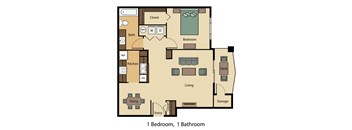 1 Bed 1 Bath