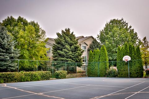 a basketball court in front of a house with trees