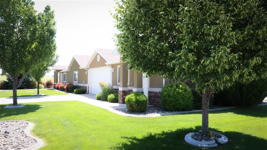 a tree lined street in front of a house