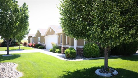 a tree lined street in front of a house