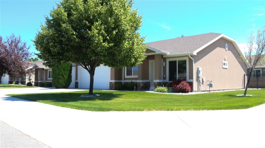 a house with a yard and a tree in front of it