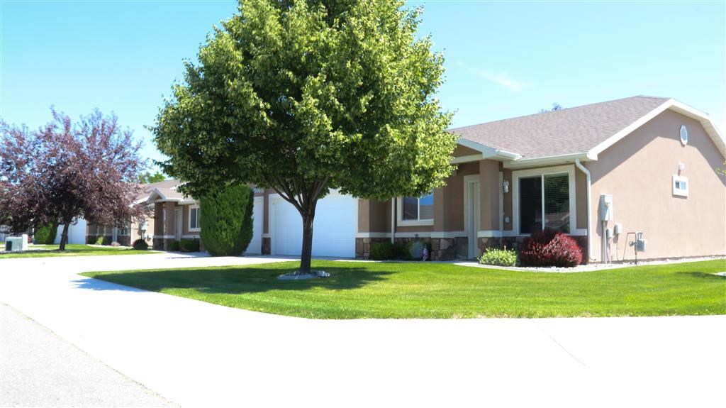 a house with a tree in the yard in front of it