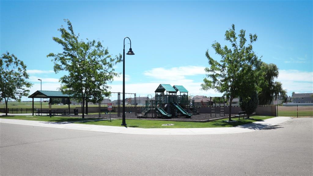 a park with a playground and some trees