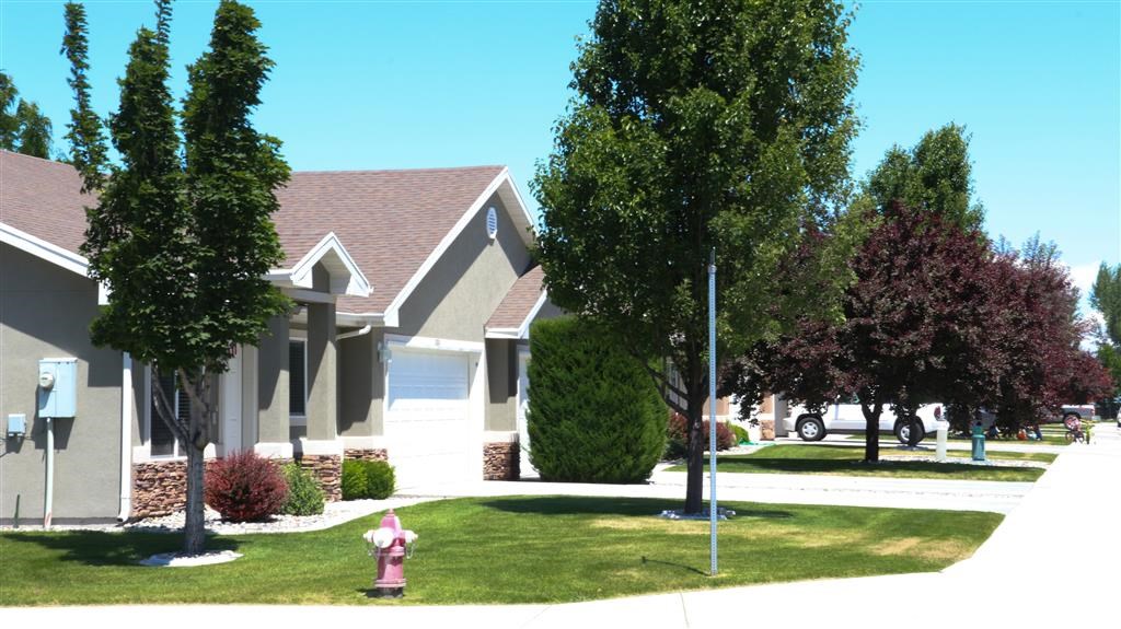 a pink fire hydrant in front of some houses