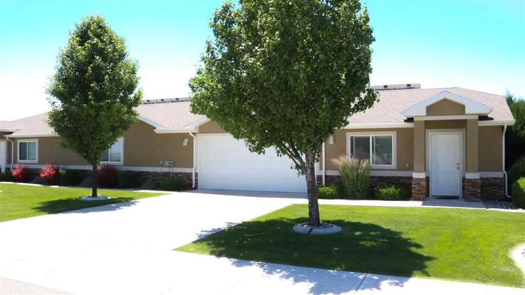 a house with a yard and two trees in front of it
