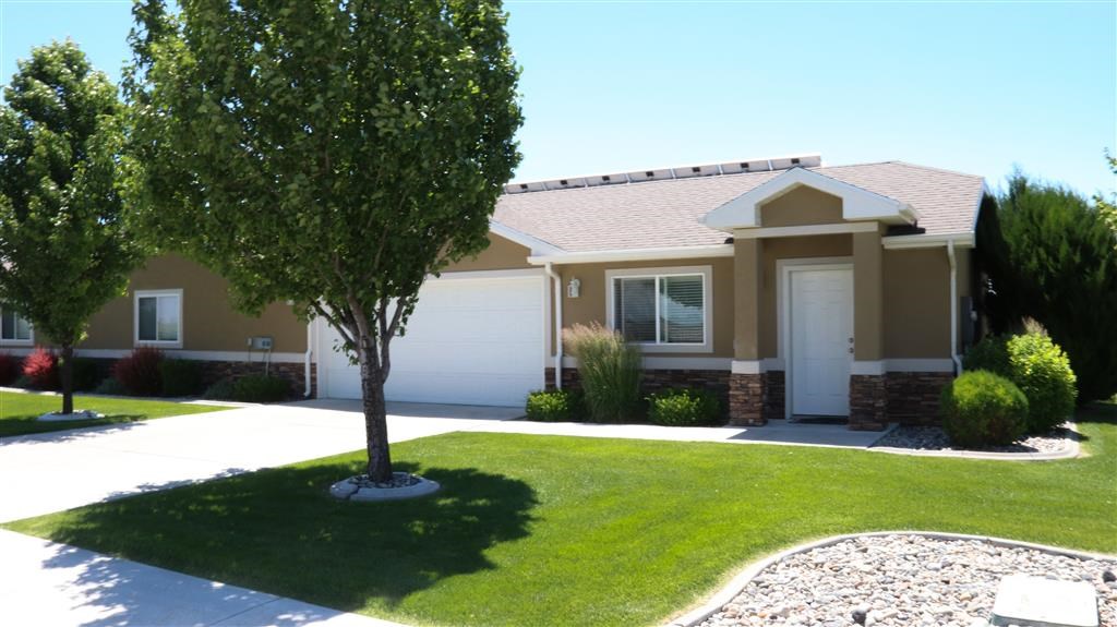 a yellow house with a tree in front of it