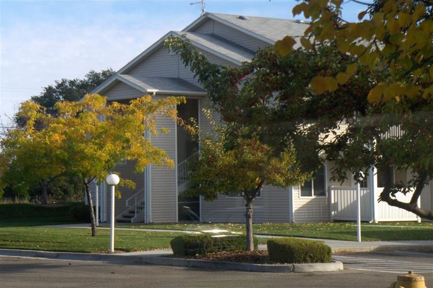 a house with trees in front of it on a street