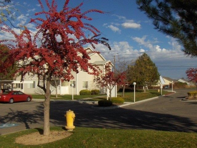 a yellow fire hydrant sitting on the side of a street