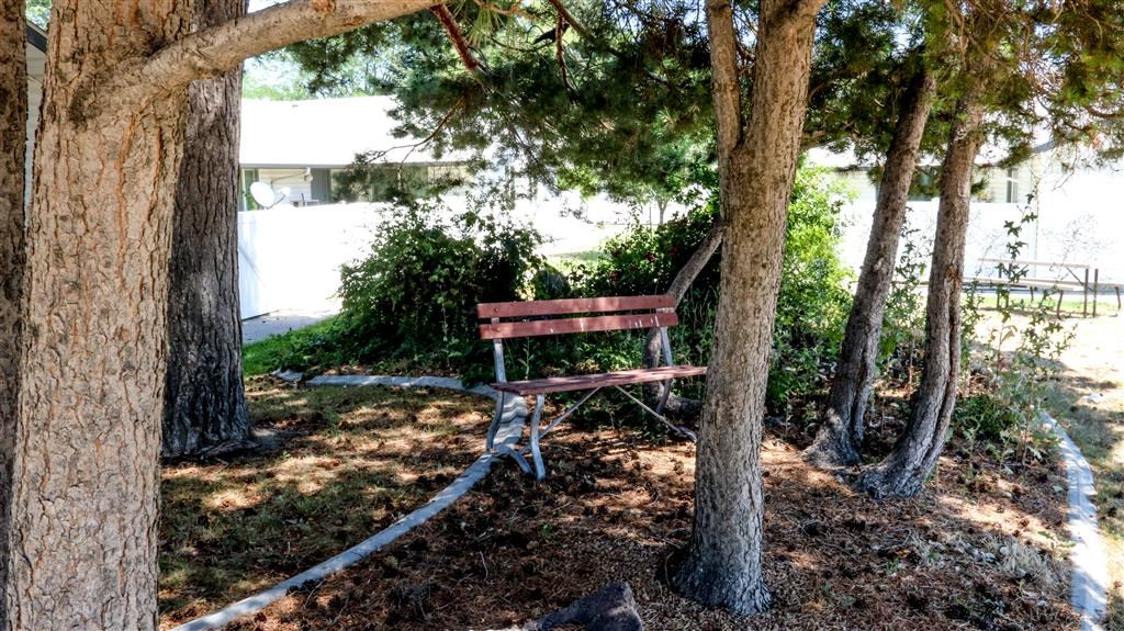 a bench sitting in the middle of trees