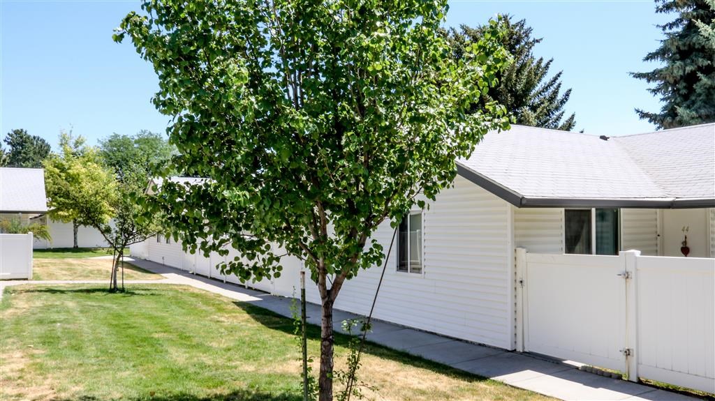 a white house with a tree in front of it