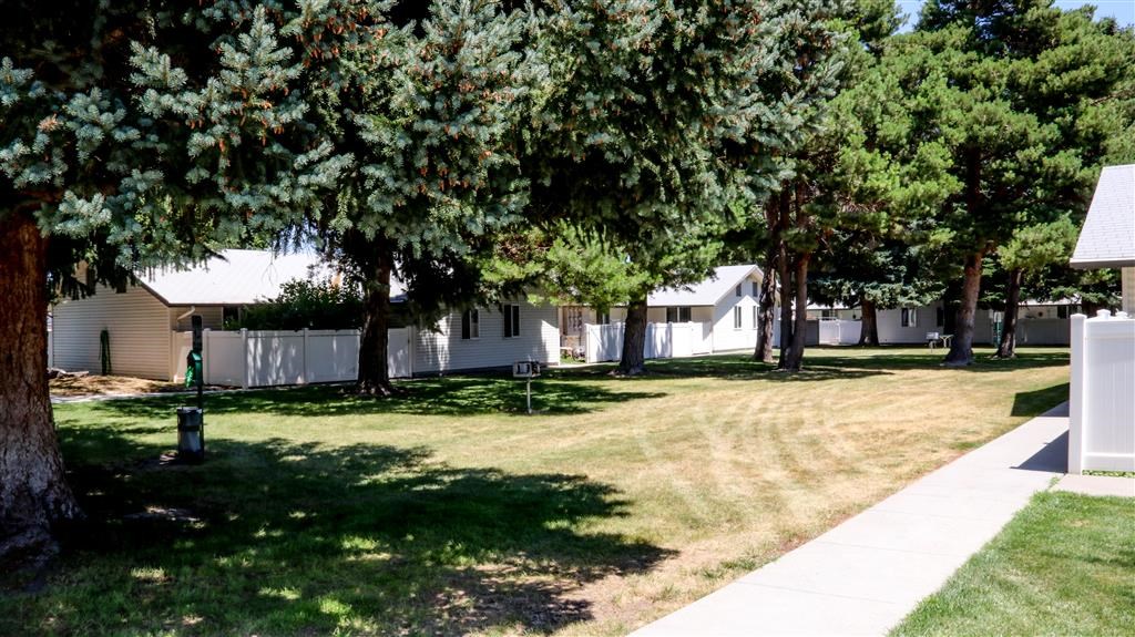a yard with trees in front of a white house