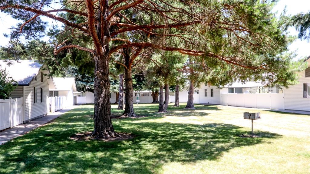 a yard with trees in front of a white house