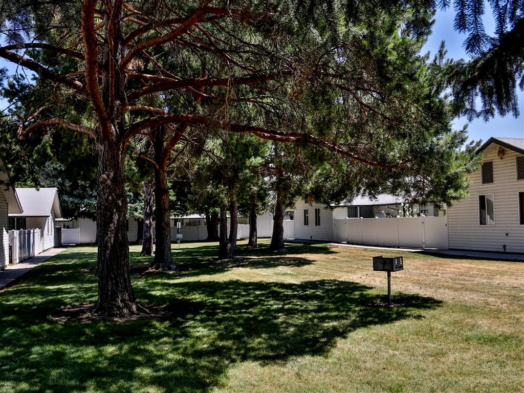 a yard in front of a white house with trees and a sign