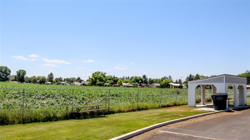 a picnic area with a pavilion and a field of crops