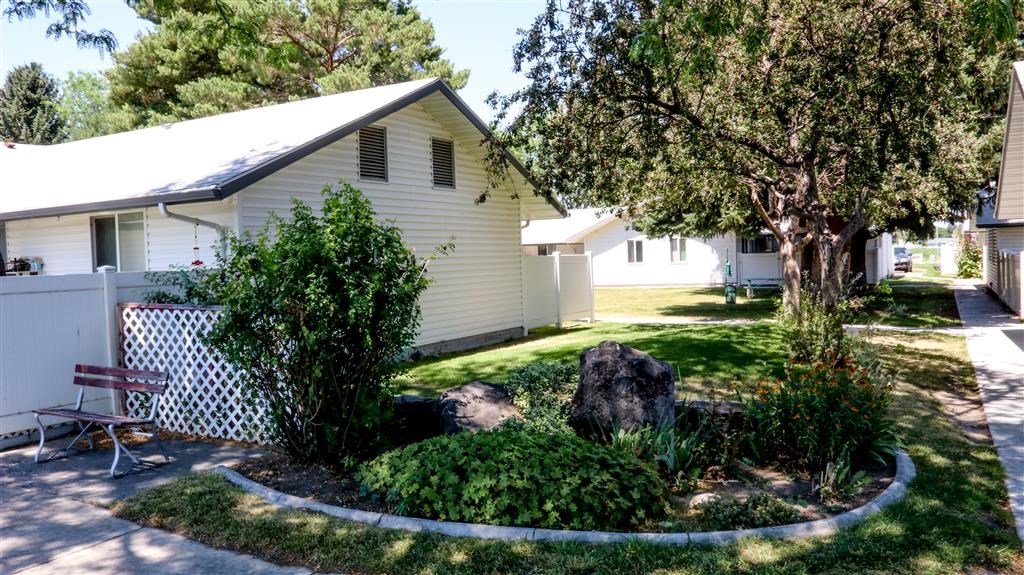 a small white house with a yard and a tree