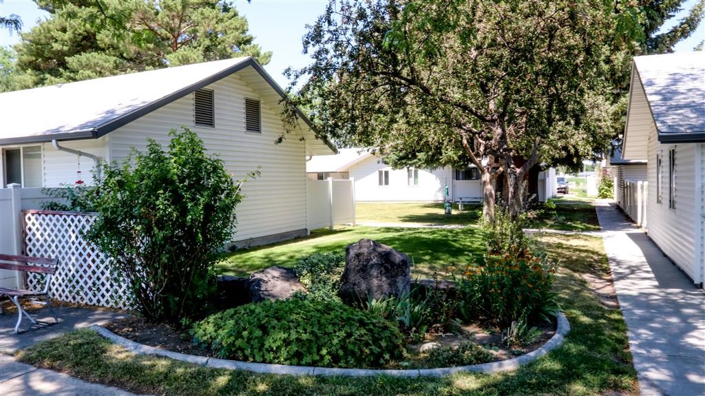 a front yard with a tree and some houses
