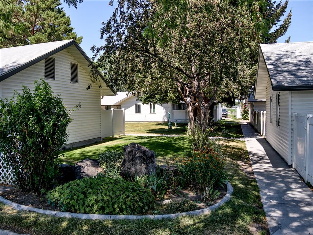 a yard with houses and trees and a sidewalk