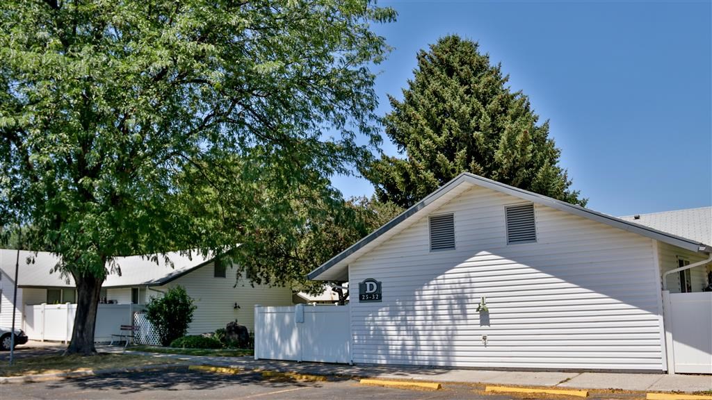 a white church with a tree in front of it
