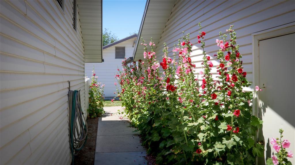 a walkway in front of a white house with flowers