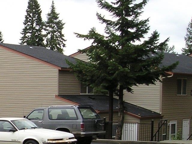 a house with cars parked in front of a tree