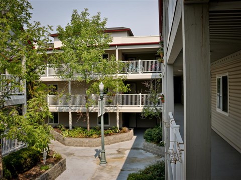 the courtyard of an apartment building with trees and balconies