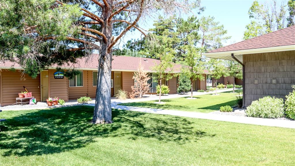 a house with a yard and a tree in front of it