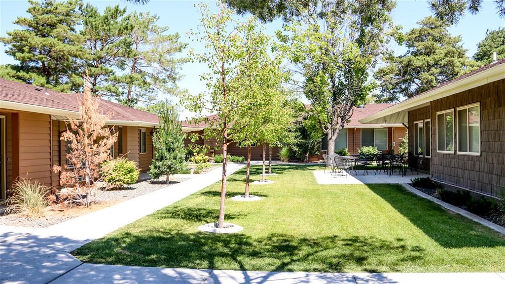 a yard in front of a house with a lawn and trees