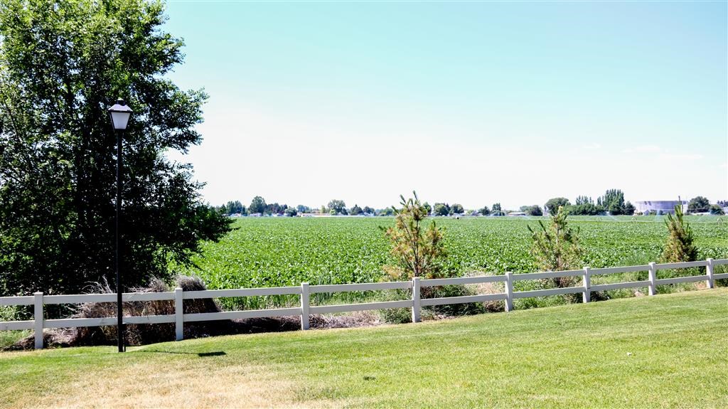 a white fence in front of a field of crops